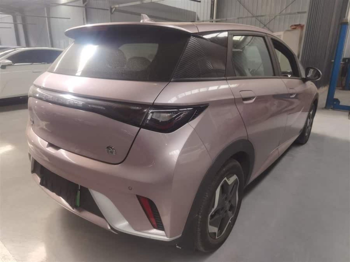比亞迪 海豚  2021款 405km 時(shí)尚版圖片