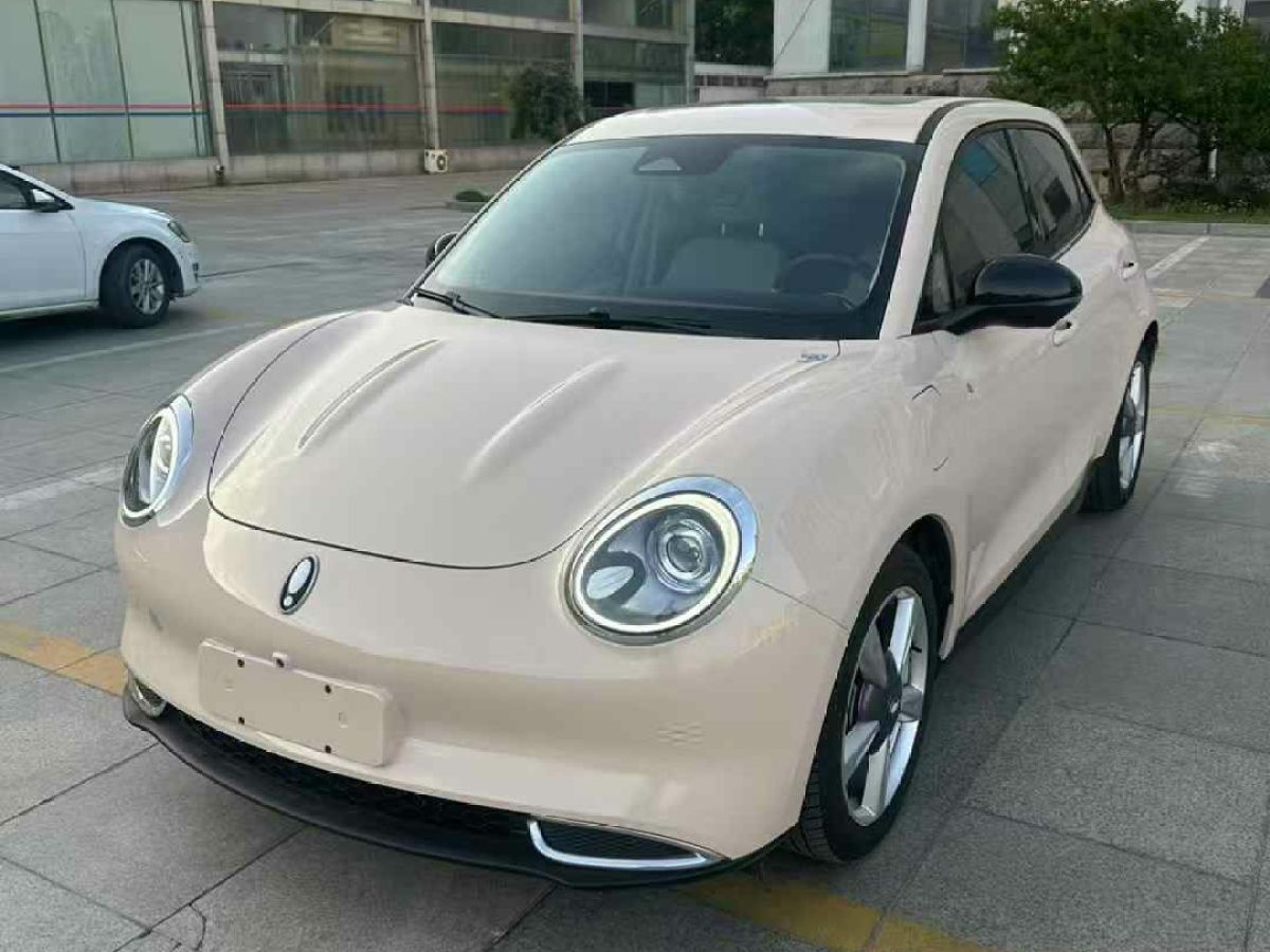 歐拉 歐拉好貓  2021款 400km標(biāo)準(zhǔn)續(xù)航 公務(wù)版 三元鋰圖片