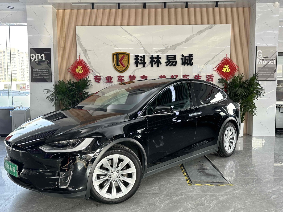 特斯拉 Model X  2016款 Model X 75D圖片