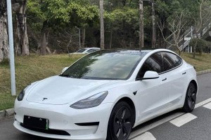 Model 3 特斯拉 改款 標準續(xù)航后驅升級版