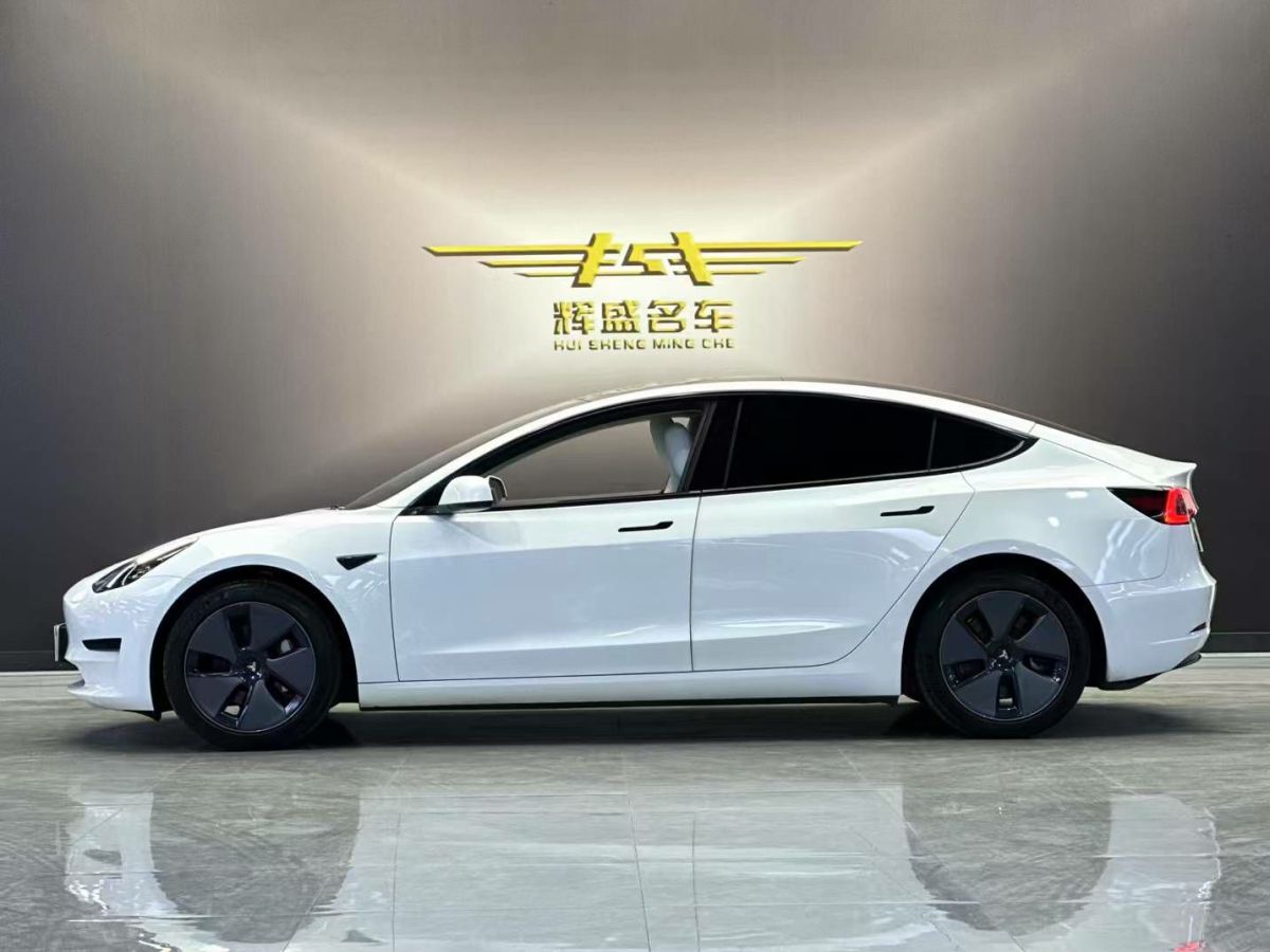 特斯拉 Model 3  2022款 Performance高性能全輪驅(qū)動版圖片