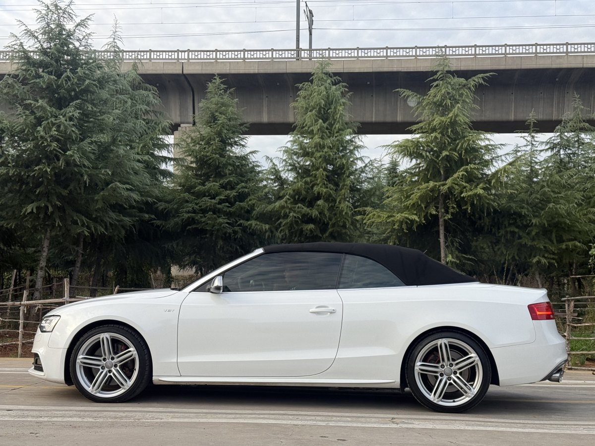 奧迪 奧迪S5  2012款 S5 3.0T Cabriolet圖片