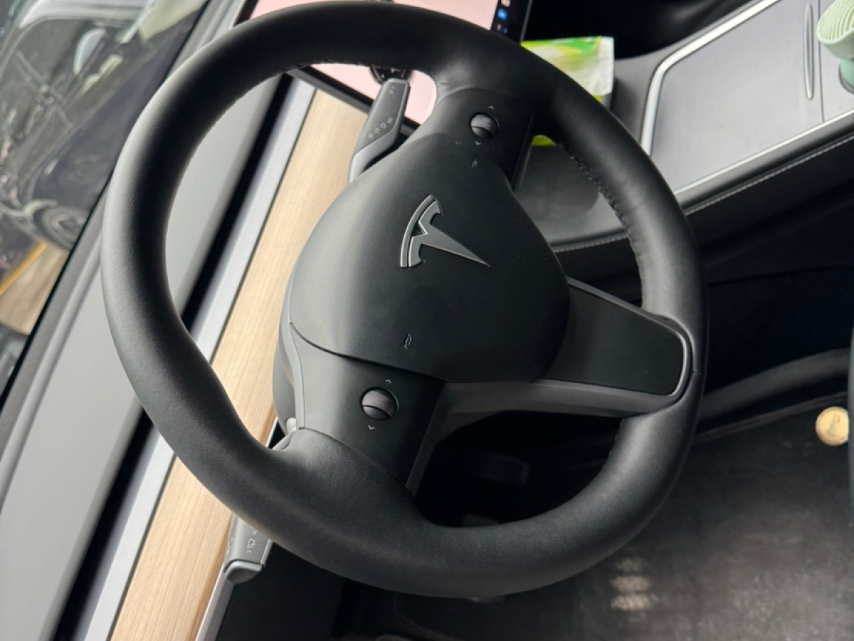 特斯拉 Model Y  2022款 后驅(qū)版圖片