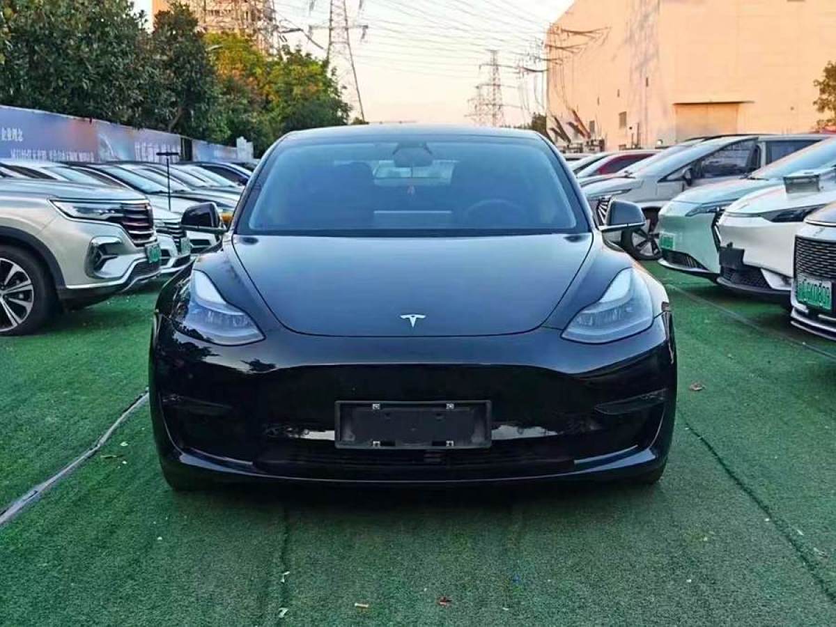 2021年1月特斯拉 Model Y  2020款 改款 標(biāo)準(zhǔn)續(xù)航后驅(qū)升級(jí)版