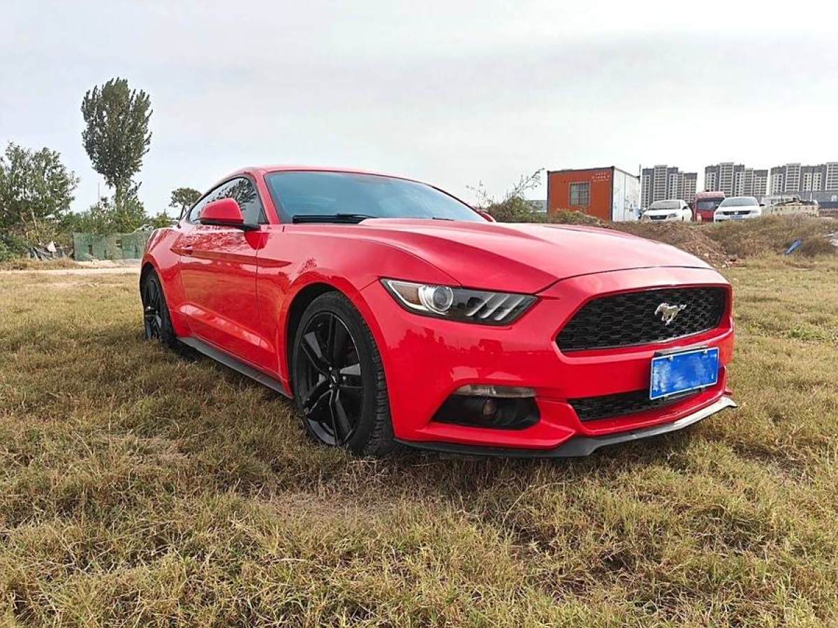 福特 Mustang  2015款 2.3T 性能版圖片