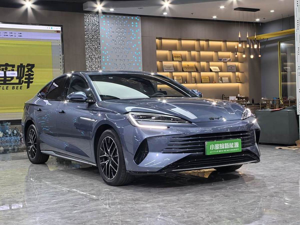 比亞迪 海豹  2023款 DM-i 1.5L 121km 尊貴型圖片