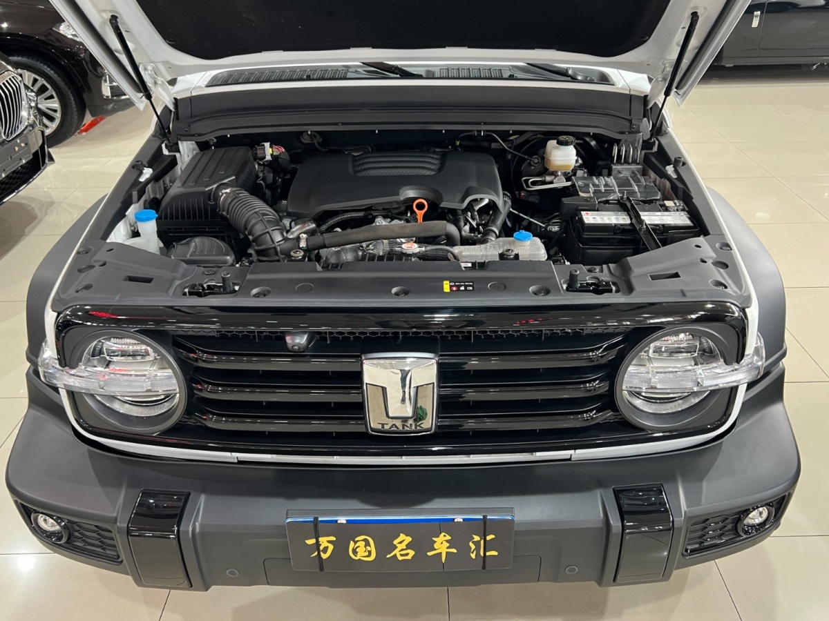 坦克 坦克300  2022款 2.0T 坦克游俠圖片