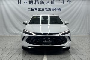 秦L 比亞迪 DM-i 智駕版 120KM超越型