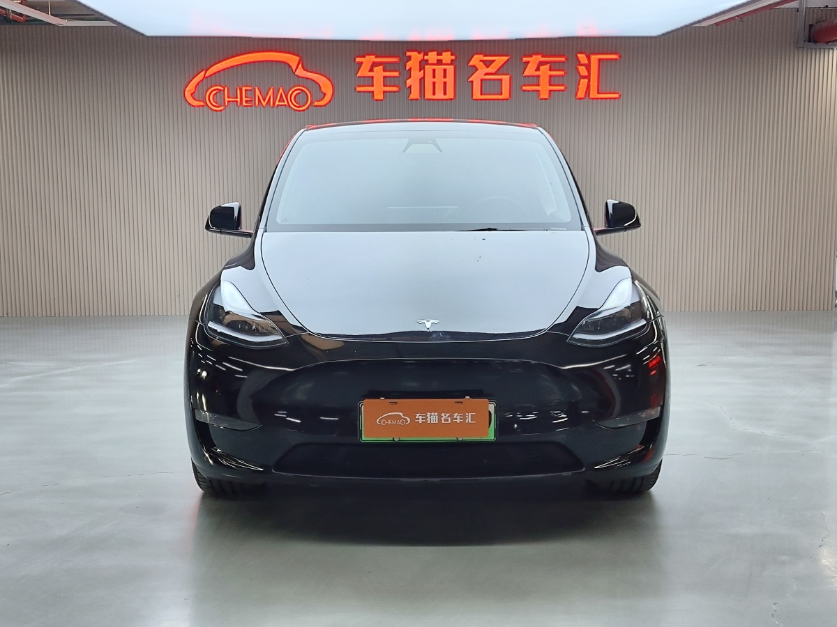 特斯拉 Model 3  2021款 改款 Performance高性能全輪驅(qū)動版圖片