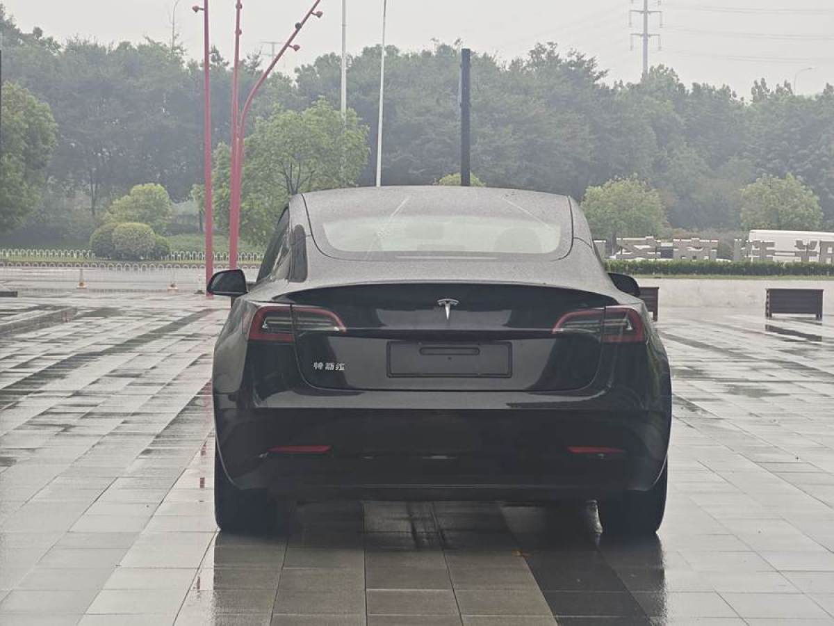 特斯拉 Model 3  2019款 標(biāo)準(zhǔn)續(xù)航后驅(qū)升級版圖片