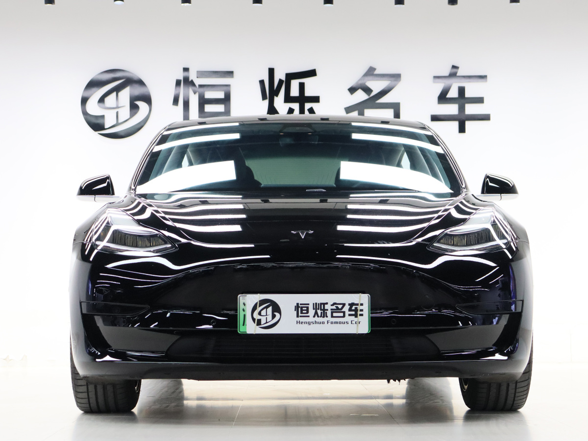 特斯拉 Model 3  2020款 改款 標準續(xù)航后驅升級版圖片