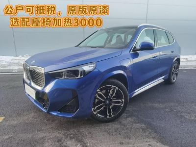 2024年6月 寶馬 寶馬iX1 xDrive30L X設(shè)計(jì)套裝圖片