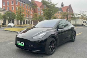 Model Y 特斯拉 改款 长续航后轮驱动版