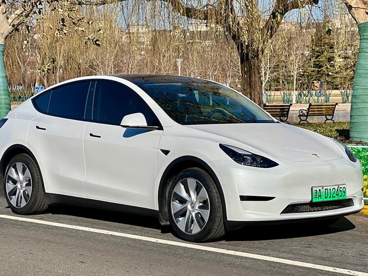 特斯拉 Model 3  2022款 后輪驅(qū)動(dòng)版圖片