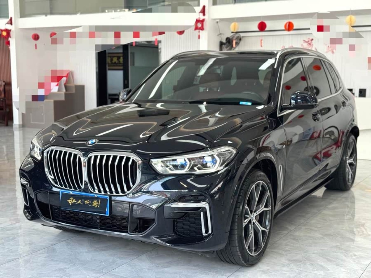 寶馬 寶馬X5  2022款 改款 xDrive 40Li M運(yùn)動(dòng)套裝圖片