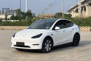 Model Y 特斯拉 標(biāo)準(zhǔn)續(xù)航后驅(qū)版