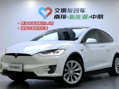 2021年2月 特斯拉 Model X 長(zhǎng)續(xù)航版圖片