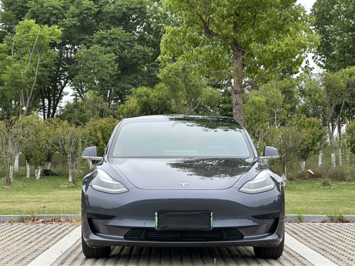 特斯拉 Model 3  2020款 改款 標(biāo)準(zhǔn)續(xù)航后驅(qū)升級版圖片