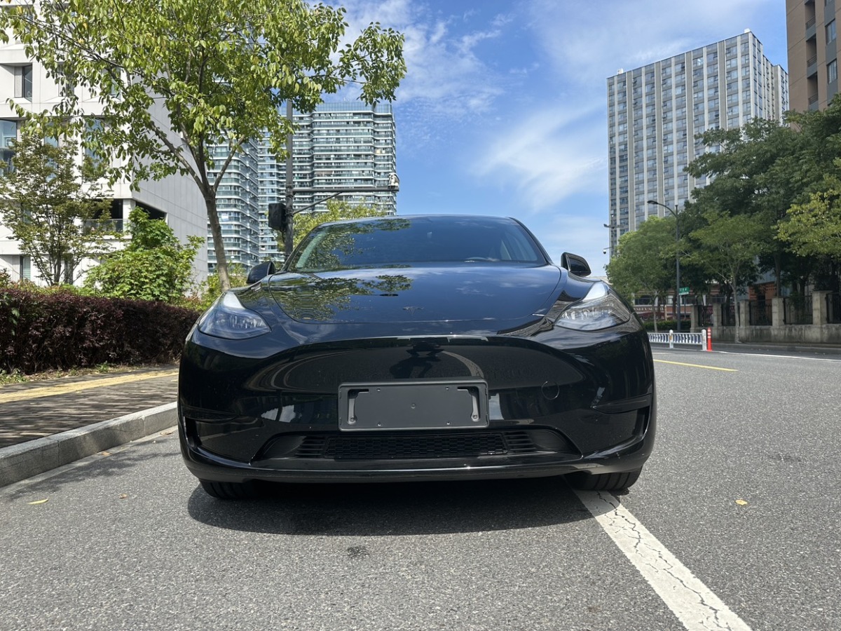 特斯拉 Model Y  2022款 后輪驅動版圖片