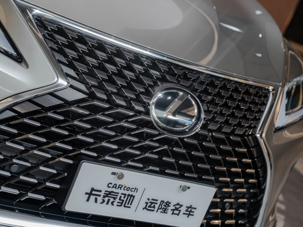 雷克薩斯 RX  2020款 300 四驅(qū)典雅版 國(guó)VI圖片
