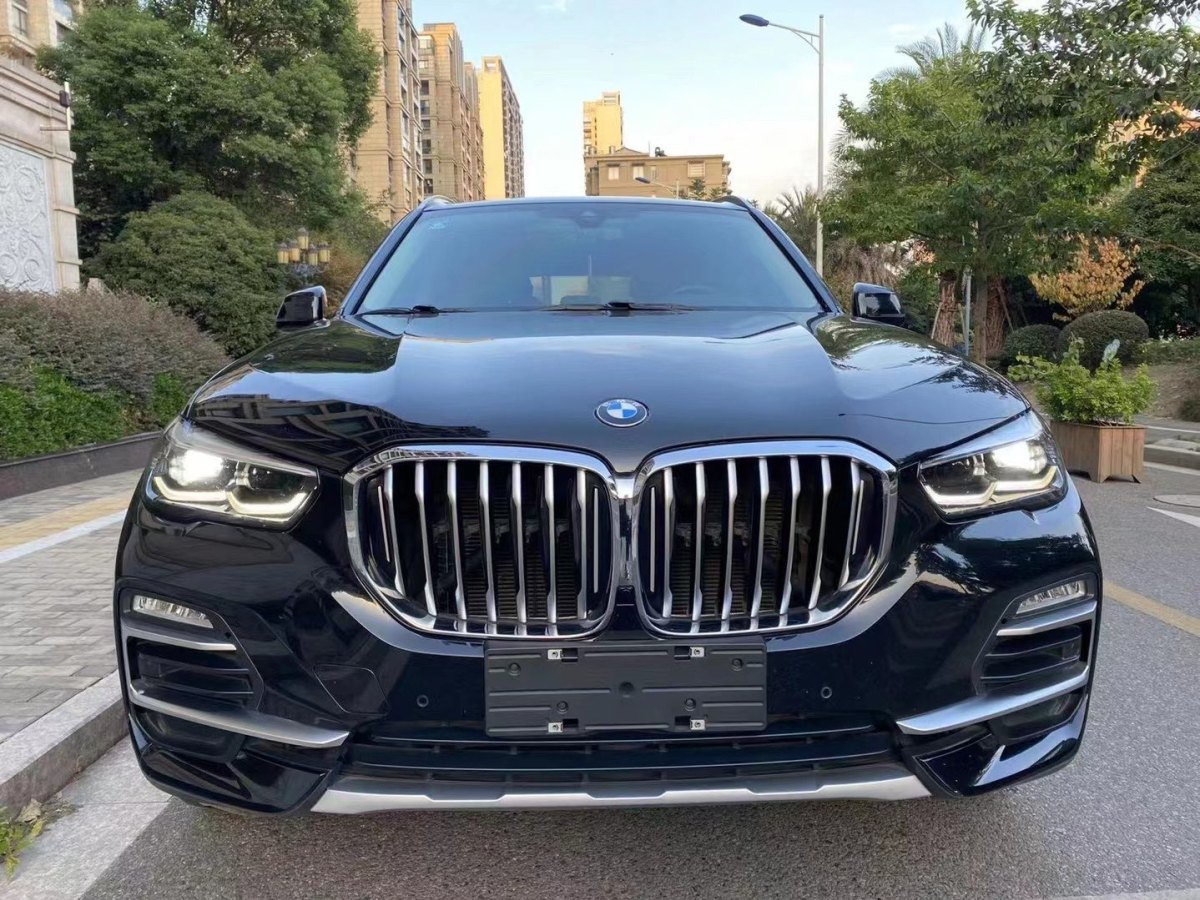 宝马 宝马x5  2020款 xdrive30i x设计套装图片