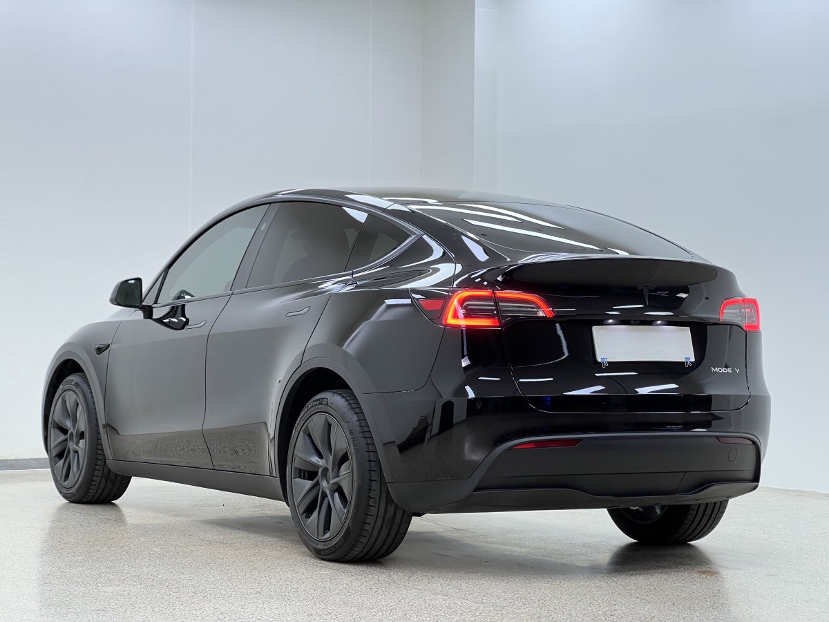 特斯拉 Model Y  2023款 長(zhǎng)續(xù)航煥新版 雙電機(jī)全輪驅(qū)動(dòng)圖片