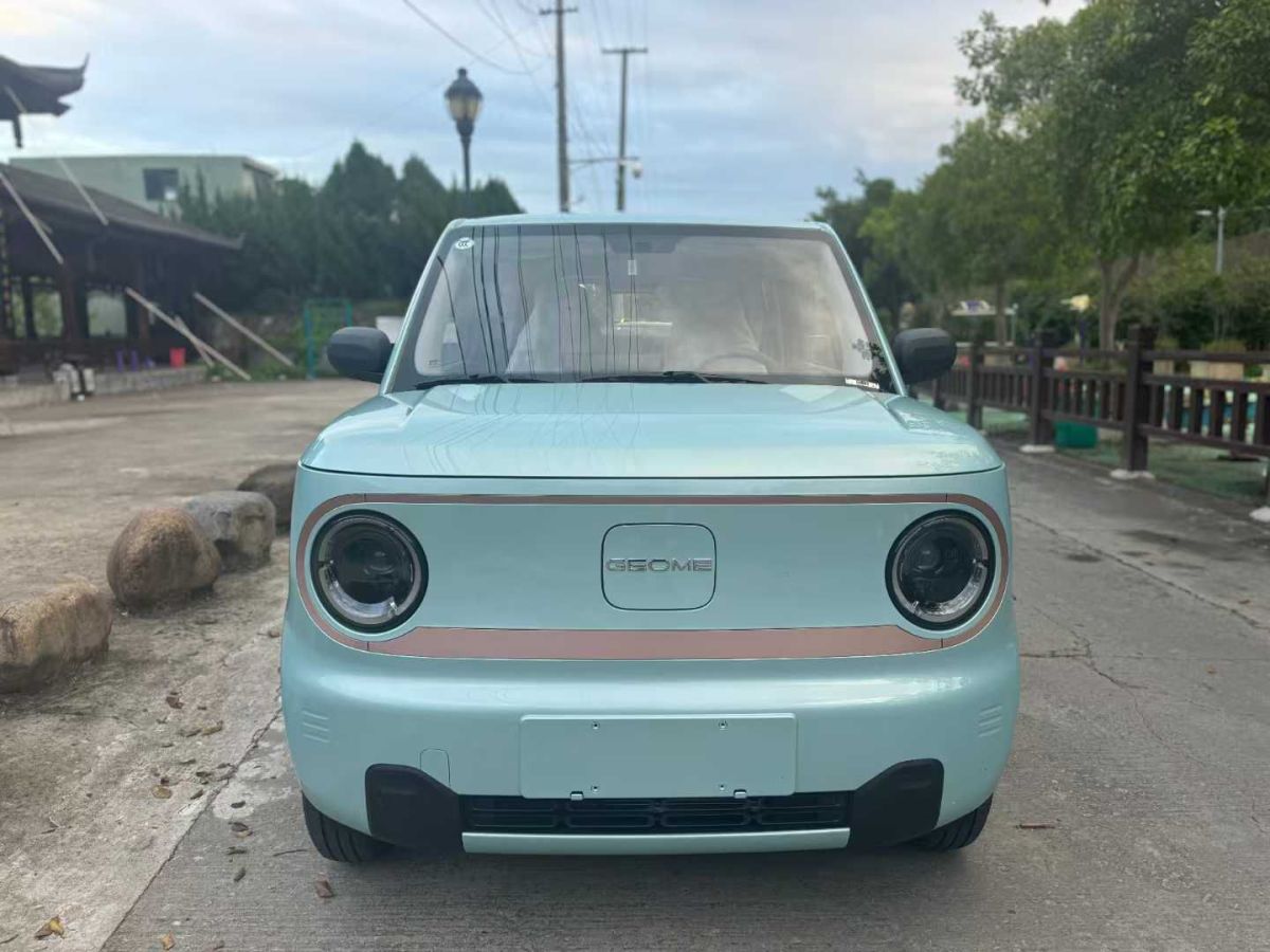 吉利 熊貓mini  2024款 200km 熊貓騎士圖片