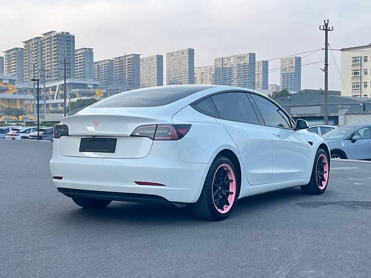 特斯拉 Model 3  2019款 標準續(xù)航后驅(qū)升級版圖片