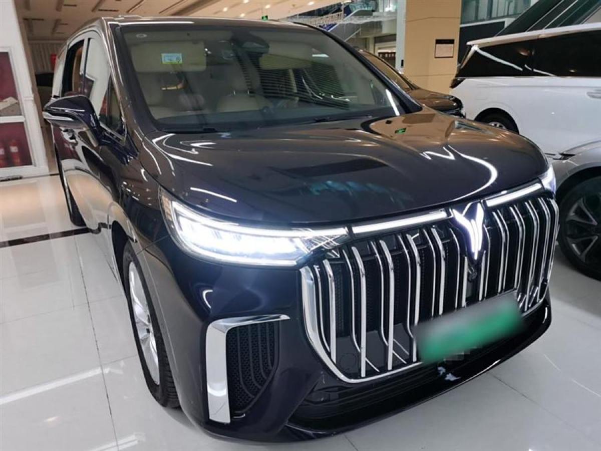 嵐圖 夢想家  2024款 PHEV 超長續(xù)航尊貴版圖片