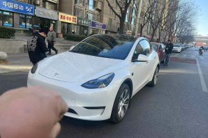 Model S 特斯拉 三電機(jī)全輪驅(qū)動 Plaid版