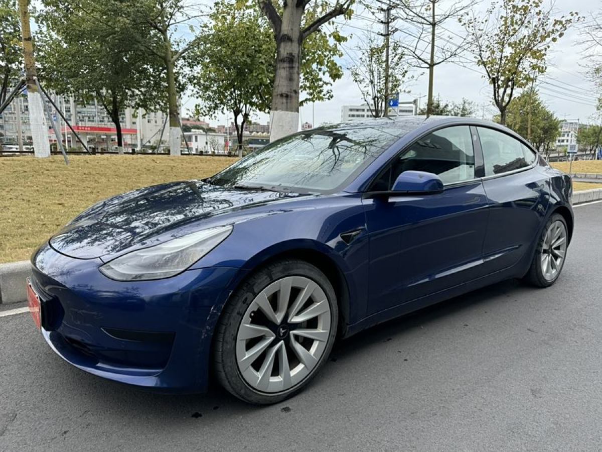 特斯拉 Model 3  2019款 標準續(xù)航后驅升級版圖片