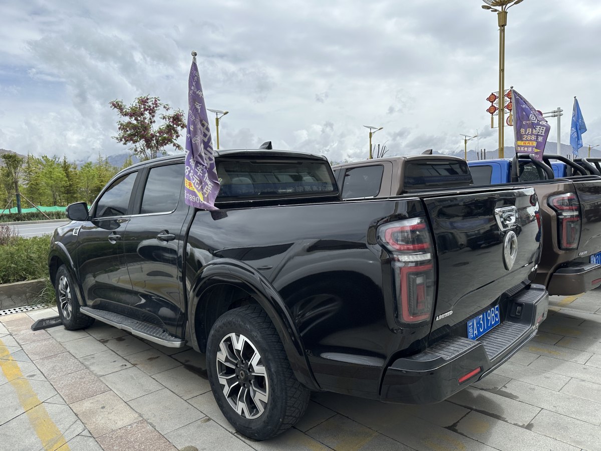 長城 炮  2019款 2.0T自動汽油四驅(qū)尊享版GW4C20B圖片
