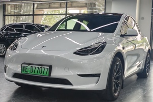 Model Y 特斯拉 長(zhǎng)續(xù)航全輪驅(qū)動(dòng)版