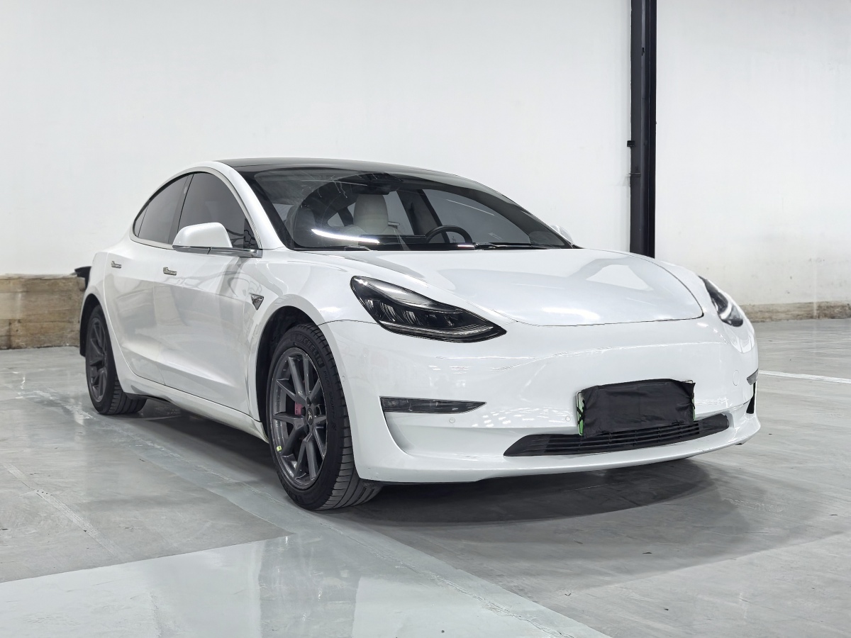 特斯拉 Model 3  2019款 長續(xù)航后驅(qū)版圖片