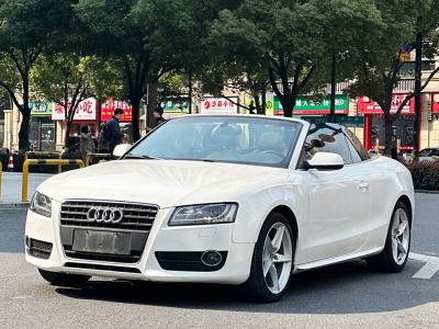 2011年8月 奧迪 奧迪A5(進口) 2.0TFSI Cabriolet圖片