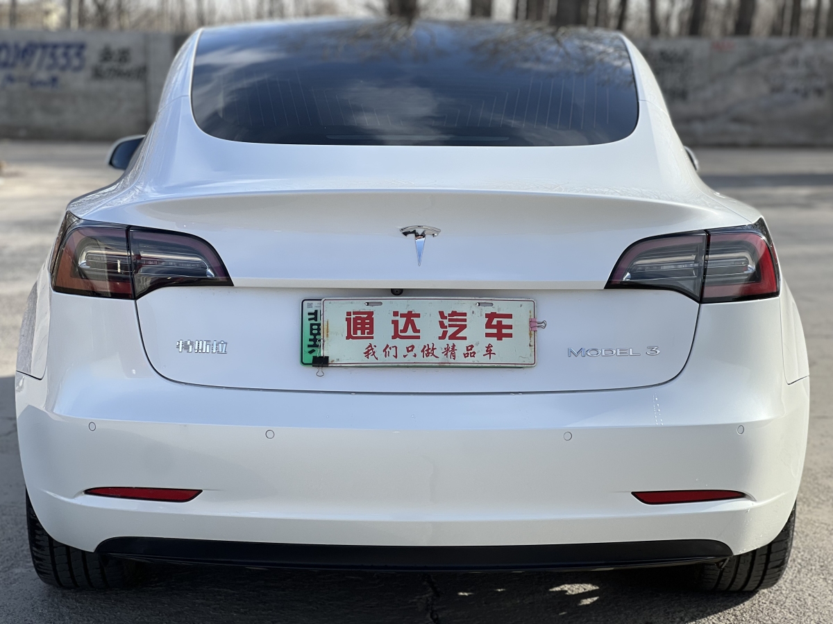 特斯拉 Model 3  2020款 改款 標(biāo)準(zhǔn)續(xù)航后驅(qū)升級(jí)版圖片