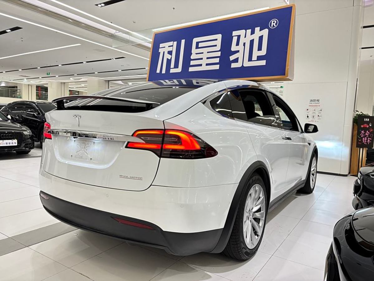 特斯拉 Model X  2019款 Performance 高性能版圖片