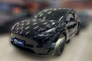 Model Y 特斯拉 后輪驅動版