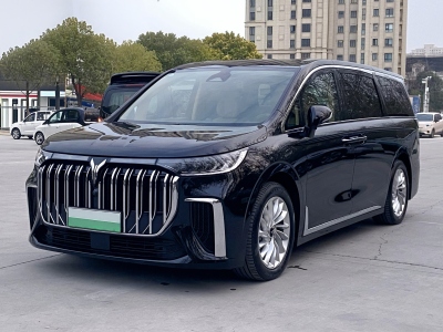 2024年1月 嵐圖 夢(mèng)想家 PHEV 超長(zhǎng)續(xù)航尊貴版圖片