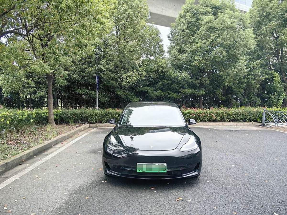 特斯拉 Model Y  2021款 標準續(xù)航后驅(qū)升級版 3D6圖片