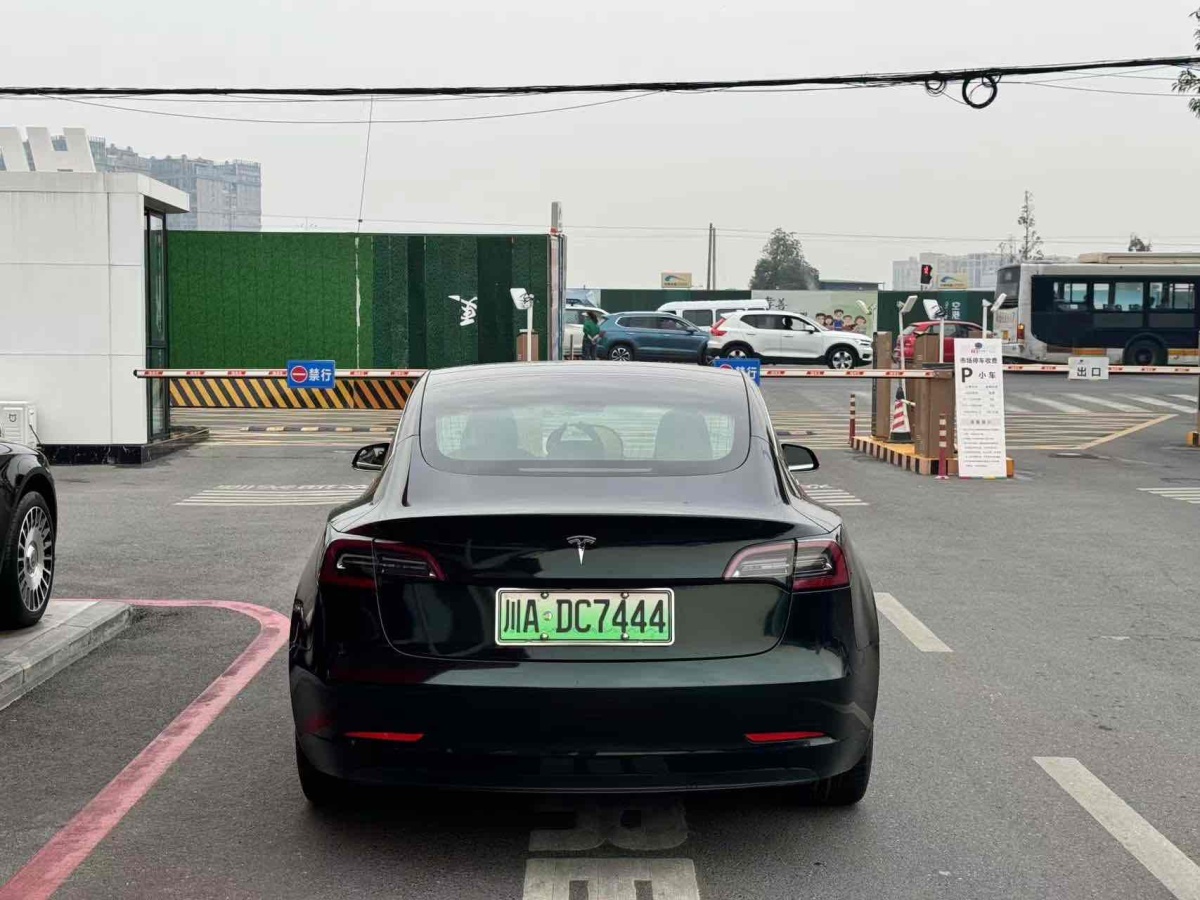 特斯拉 Model 3  2019款 標(biāo)準(zhǔn)續(xù)航后驅(qū)升級(jí)版圖片