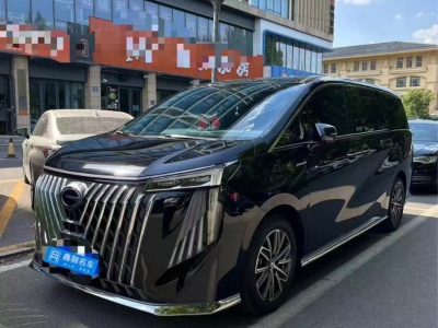 2024年6月 广汽传祺 M8 大师系列 390T 尊贵版图片