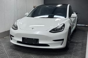 Model 3 特斯拉 改款 標(biāo)準(zhǔn)續(xù)航后驅(qū)升級(jí)版