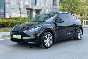 Model Y 特斯拉 改款 后輪驅(qū)動(dòng)版