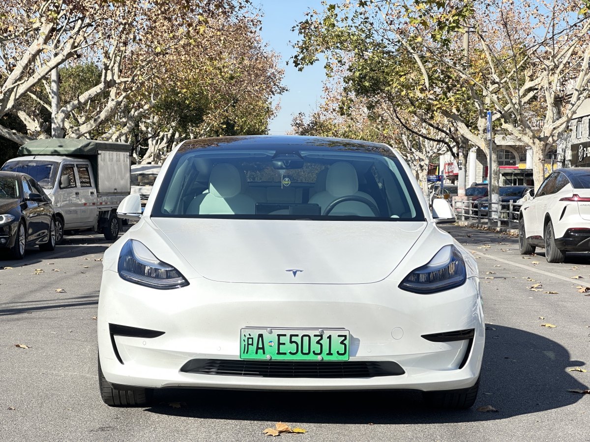 特斯拉 Model 3  2019款 標(biāo)準(zhǔn)續(xù)航后驅(qū)升級(jí)版圖片