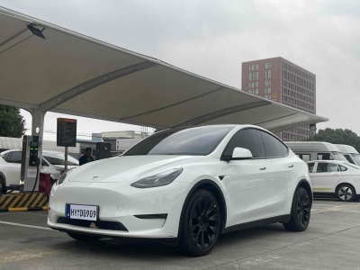 2021年5月 特斯拉 Model 3 長(zhǎng)續(xù)航全輪驅(qū)動(dòng)版 3D7圖片