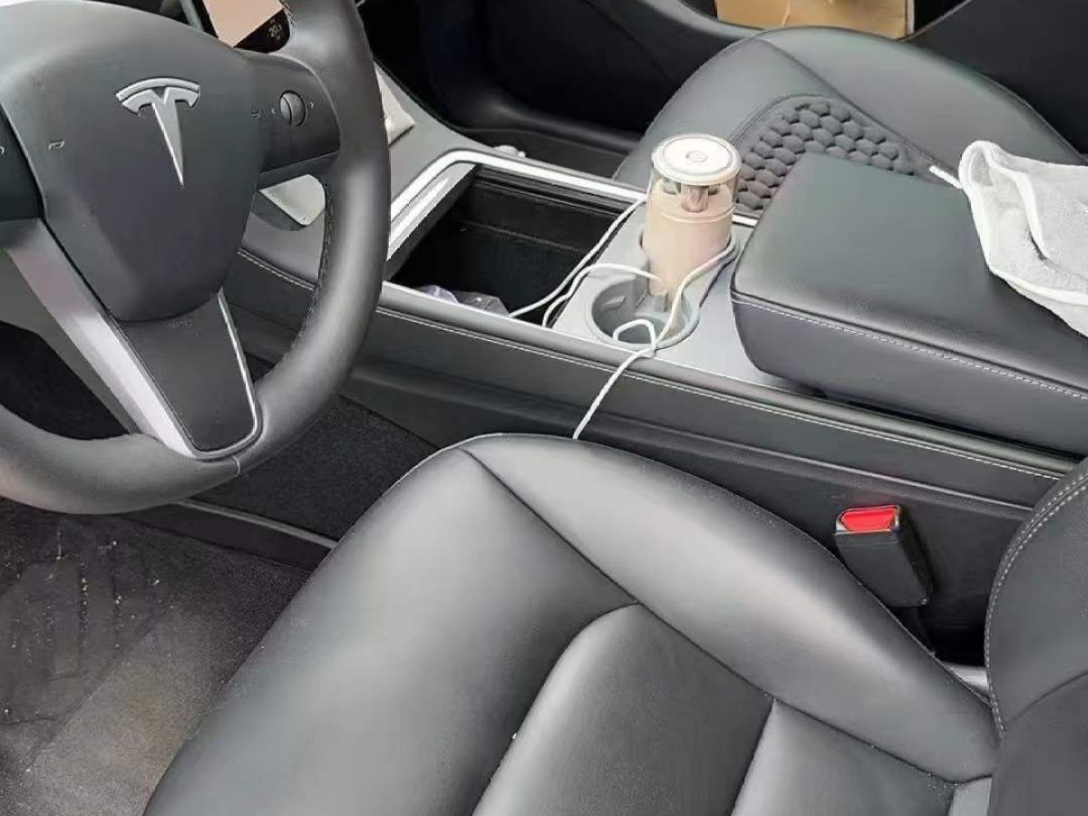 特斯拉 Model Y  2024款 Performance高性能版圖片