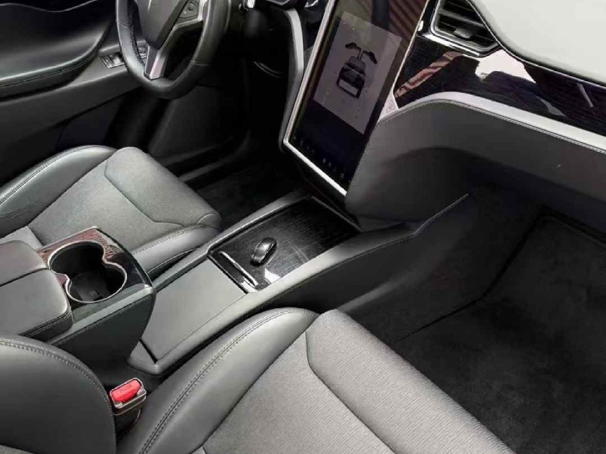 特斯拉 Model S  2019款 Performance 高性能版圖片