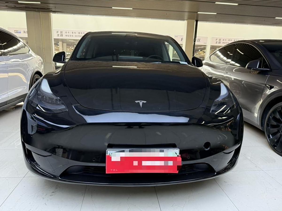 特斯拉 Model Y  2021款 改款 長(zhǎng)續(xù)航全輪驅(qū)動(dòng)版圖片