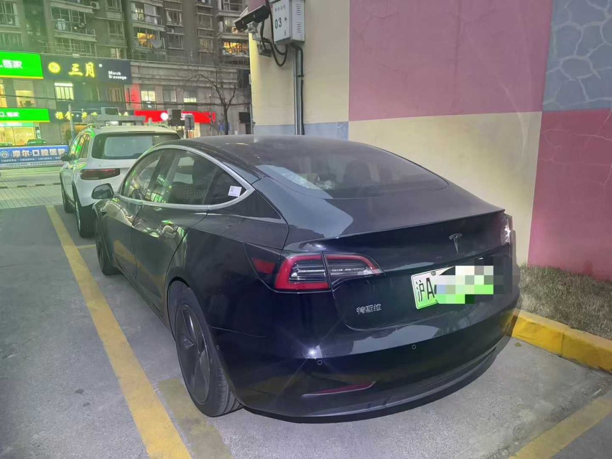 特斯拉 Model 3  2020款 標(biāo)準(zhǔn)續(xù)航后驅(qū)升級版圖片